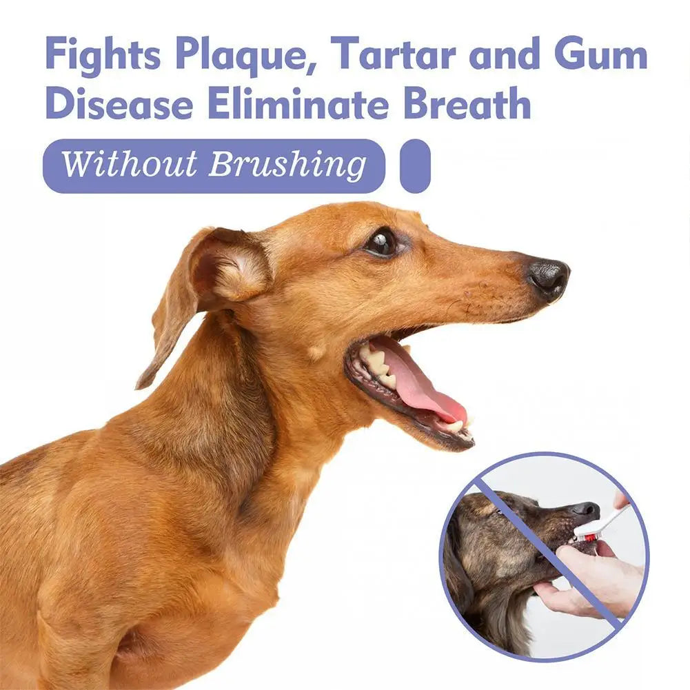 Pet Dental Spray for Dogs and Cats Freshen Breath Remove Plaque Tartar Oral Care Water Additive Easy Use No Brush Needed 30ml