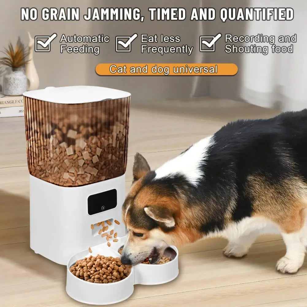 Smart Pet Feeder with Dual Bowls - 5L Transparent Storage, WiFi APP Control, Automatic Timed Dispensing for Cats & Dogs, Battery