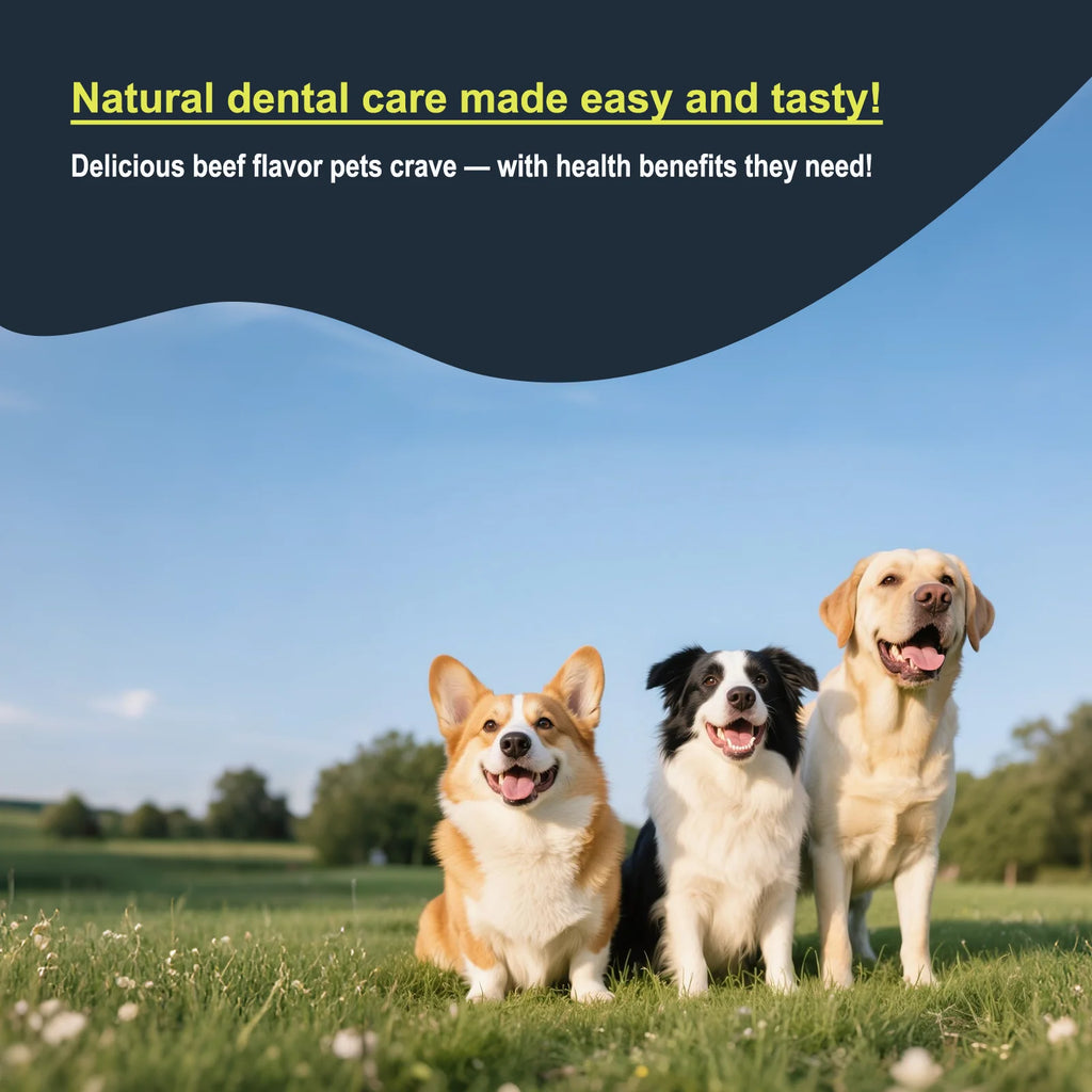 100g Beef Flavor Pet Dental Powder for Dogs & Cats – Advanced Tartar & Plaque Control, Fresh Breath, Oral Health Support
