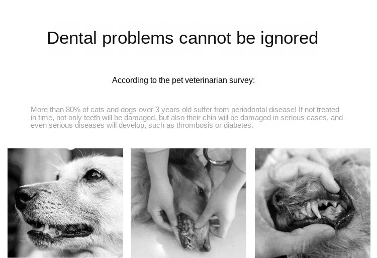 Pet Toothbrush for Dog Cats Small Animals Oral Care Kit with Soft Bristles Fights Bad Breath Tartar Remover Dental Cleaning Tool