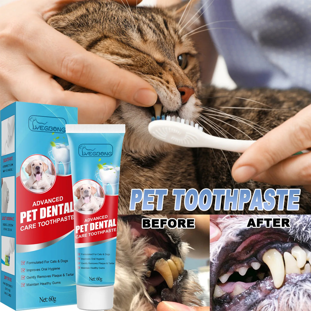 Pet Toothpaste Cats Dogs Cleaning Products Pet Oral Gum Care Cleaning Toothpaste Prevent Teeth Calculus Cats Edible Toothpaste