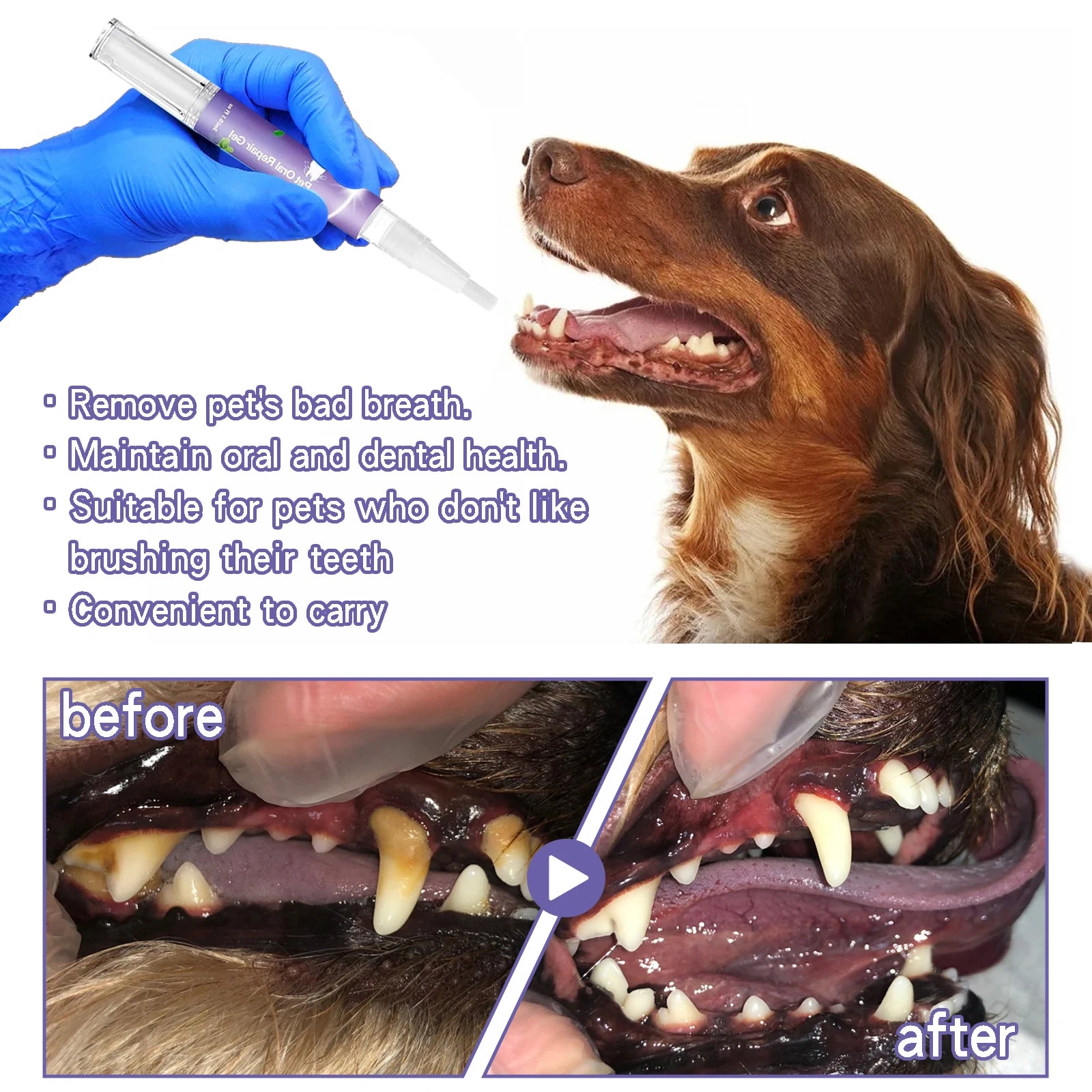Pet Dental Care Gel for Dog Cat Teeth Cleaning Tartar Control Fresh Breath Oral Care Solution with Soda Easy Use Pen Applicator