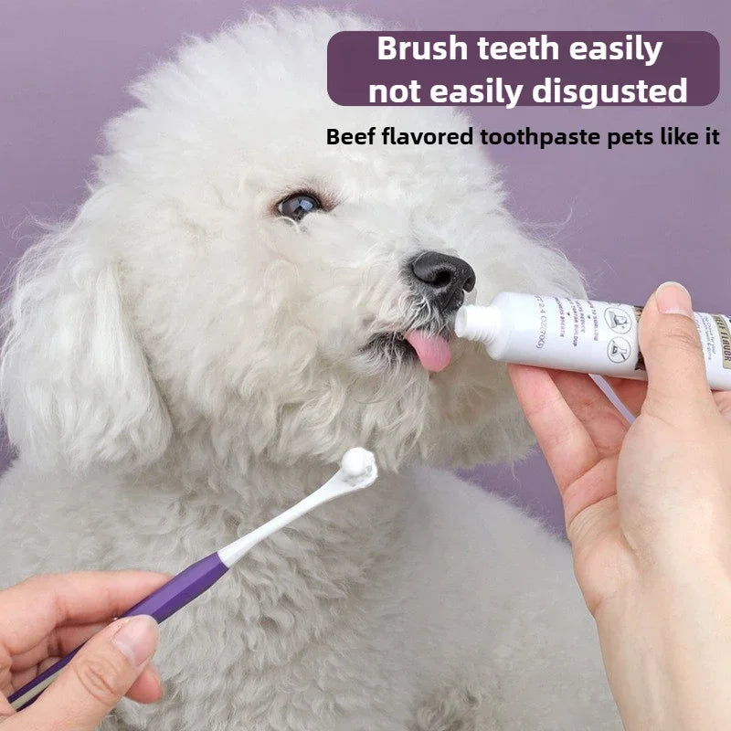 Pet Dental Care Gel Natural Beef Flavor Toothpaste for Dogs Cats Plaque Remover Fresh Breath Oral Solution Pet Supplies