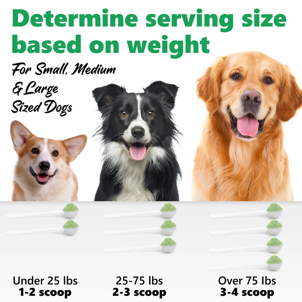 Pets Dental Clean Powder Recommended by vets for good oral health Reduces Plaque Prevents Tartar Improves Breath with Probiotics