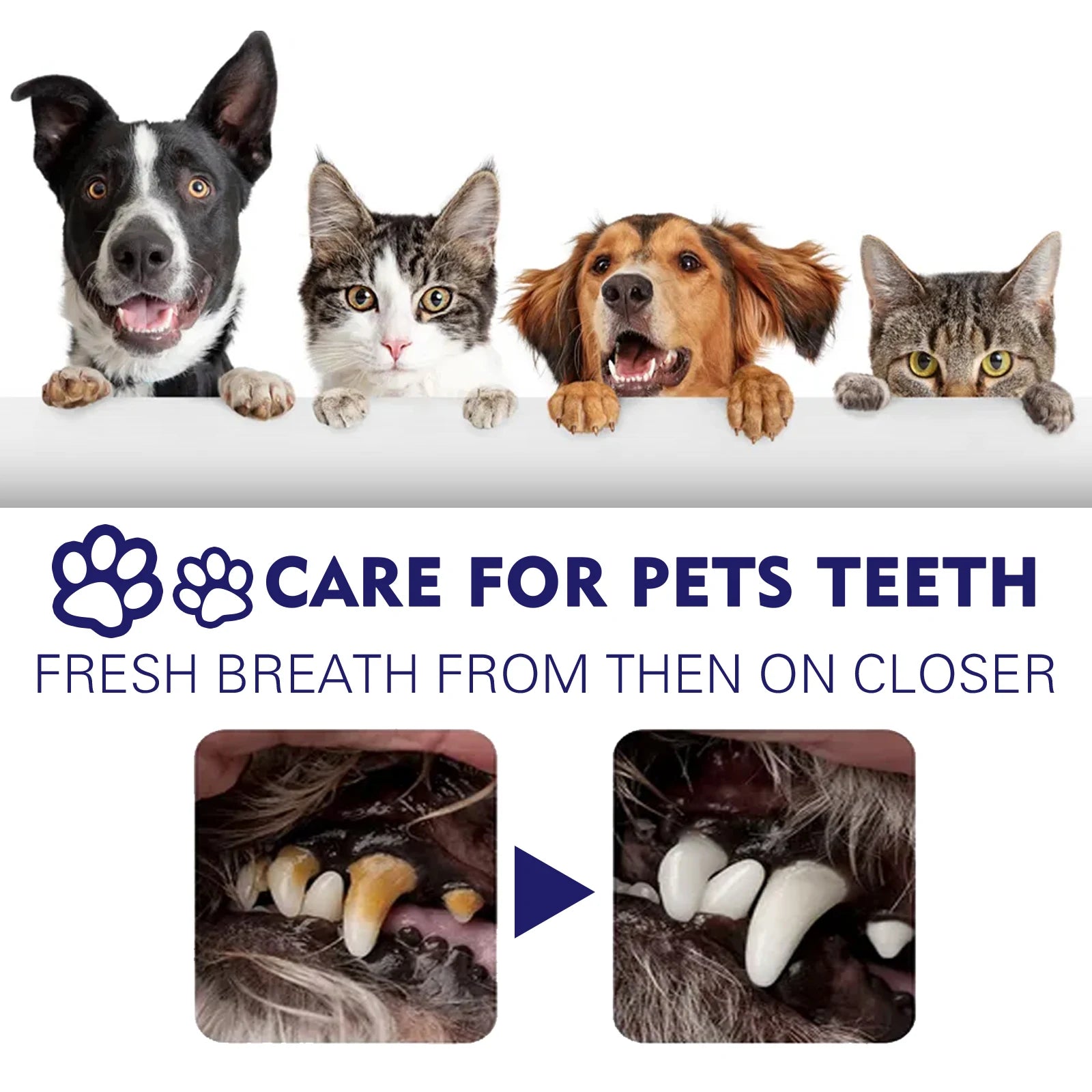 Pet Toothpaste Reduce Tartar Remove Dental Stain Eliminate Bad Breath Deodorant Whitening Dog Cat Teeth Pet Oral Care Toothpaste